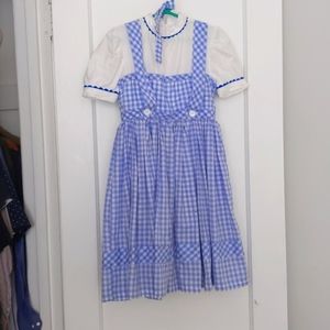 Amazing Dorothy wizard of oz costume. Toto included